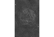 Celestial_Simeis147 #1020, 2022
