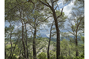 Sainte-Victoire #6228, 2018