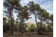 Sainte-Victoire #3210, 2018