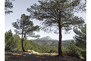 Sainte-Victoire #4861, 2019