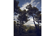 Sainte-Victoire #3357, 2018