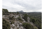 Sainte-Victoire #2232, 2017