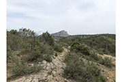 Sainte-Victoire #3386, 2017