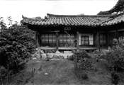 Dosan, 1976