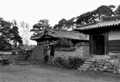 Dosan, 1976