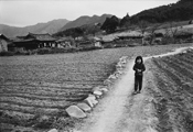 Andong, 1975