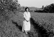 Andong, 1975