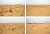 Untitled #7436 #7462 #7447 #7397, Laghwiba, 2005