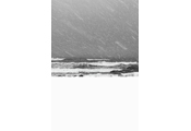 Naksan #8261, 2010, Laserchrome Print, 236.9x166.7cm