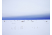 Untitled #2822, Myrdalssandur, 2007, C-Print, 117x157cm