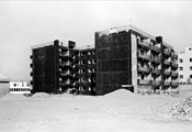 Daegu, 1982