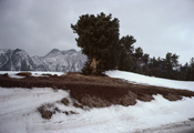 Ulleungdo, 1983