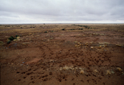 Broken Hill Desert, 1993