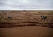 Broken Hill Desert, 1993