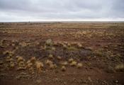 Broken Hill Desert, 1993