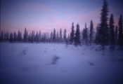 Untitled, Northern Finland, 2000, Ilfochrome, 76x101.5cm