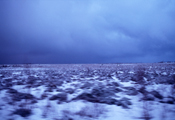 Untitled, Northern Norway, 2000, Ilfochrome, 76x101.5cm