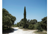 Les Alpilles, 2010