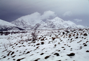 Northern Norway, 2000