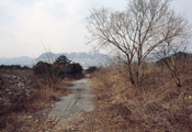 Sokcho, 1998