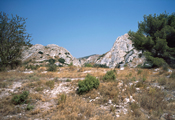 Les Alpilles, 2004