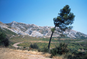 Les Alpilles, 2004