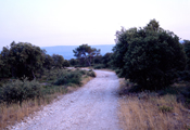 Luberon, 2004