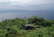 Batangas Bay, 2001