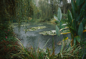 Giverny, 2002