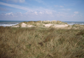 Omaha Beach, 2004