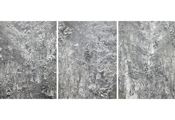 Untitled #1533, #1543, #1591, Pyeongchang, 2010