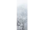 Untitled #3271, Seorak, 2010, C-Print, 305.6x124.6cm