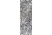 Untitled #1563, Pyeongchang, 2010