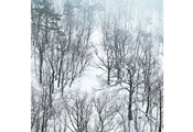 Untitled #2982, Seorak, 2010, C-Print, 124x124cm