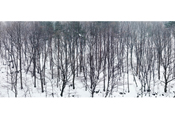Untitled #3061, Seorak, 2010, C-Print, 237.2x507.2cm, 90x180cm
