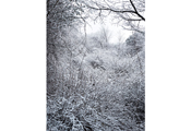 Untitled #595, Seorak, 2009, C-Print, 237.2x184.6cm