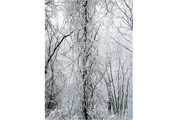 Untitled #14082, Seorak, 2011