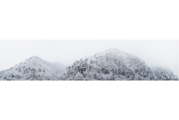 Untitled #18134, Inje, 2011, C-Print, 246.55x1002cm