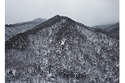 Untitled #2708, Hongcheon, 2013