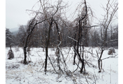 Untitled #151, Seorak, 2009, C-Print, 237.2x307.2cm
