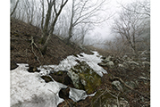 Untitled #1314, Seorak, 2014