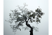 Untitled #2295, Tiannmenshan, 2015