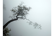 Untitled #2231, Tiannmenshan, 2015