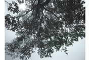 Untitled #2265, Tianmenshan, 2015, 140x180cm, 180x223cm