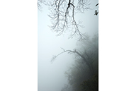 Untitled #2233, Tiannmenshan, 2015