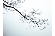 Untitled #2360, Tiannmenshan, 2015