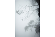 Untitld #2243. Tiannmenshan, 2015