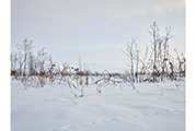 Untitled #1381 Biei 2015