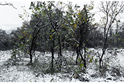 Untitled #2429, Seorak, 2009, 120x173cm