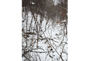Untitled #8208, Seorak, 2008, C-Print, 237.2x184.6cm